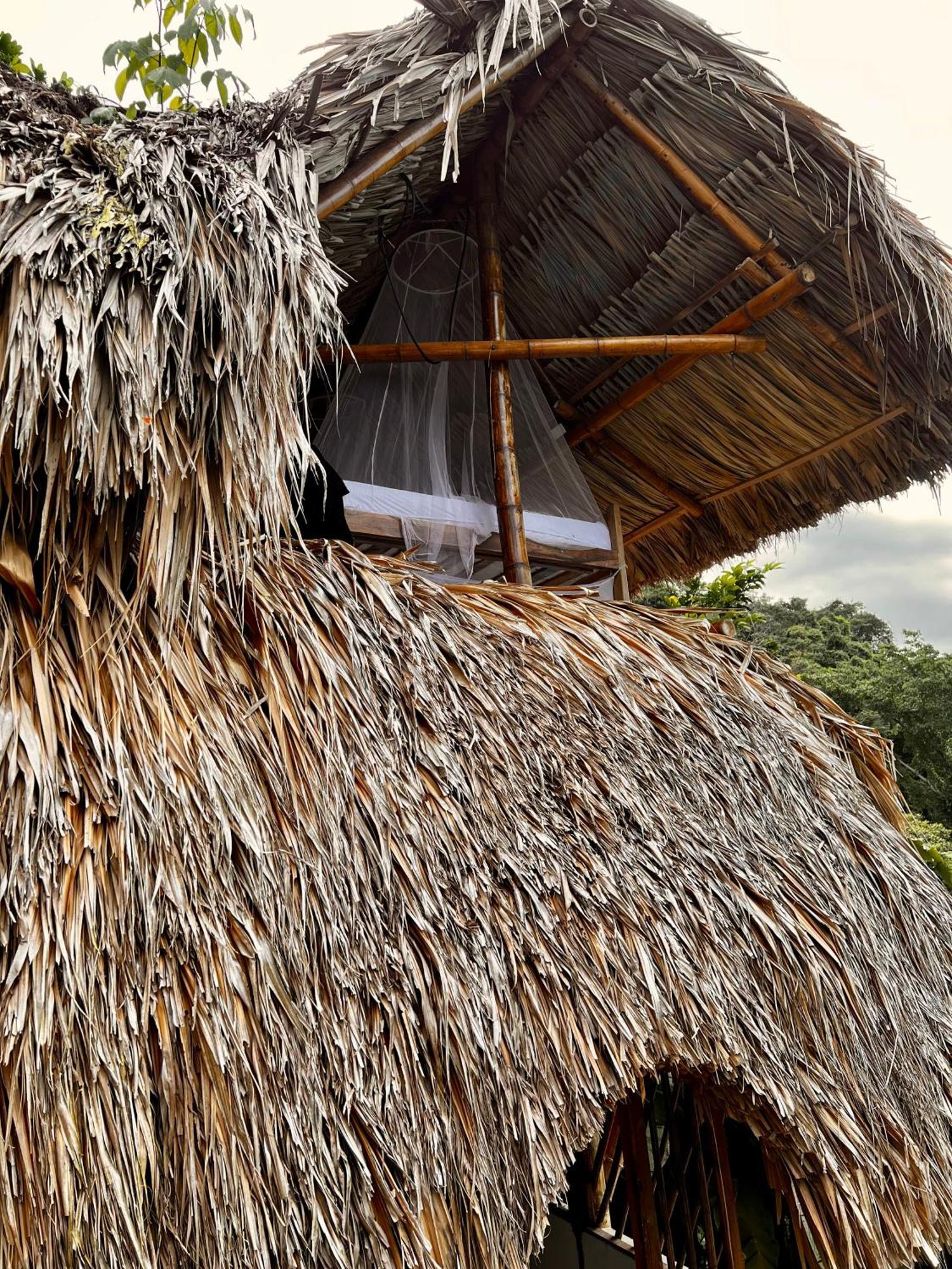 Puerto Alto Hotel Buritaca Kültér fotó