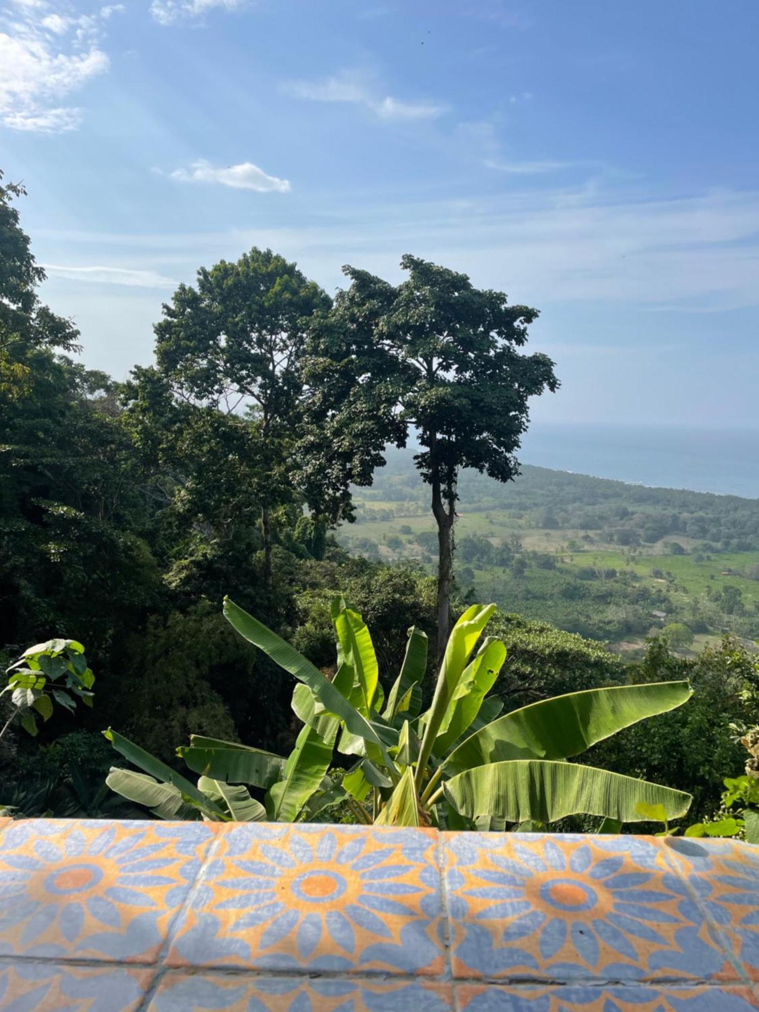 Puerto Alto Hotel Buritaca Kültér fotó