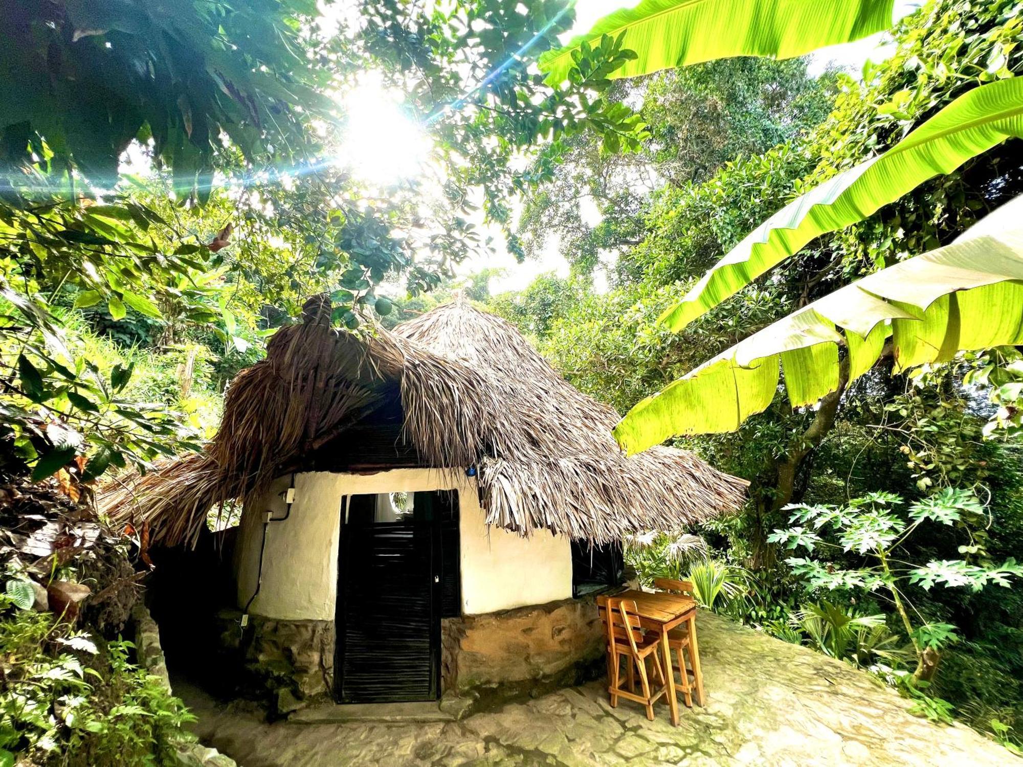 Puerto Alto Hotel Buritaca Kültér fotó