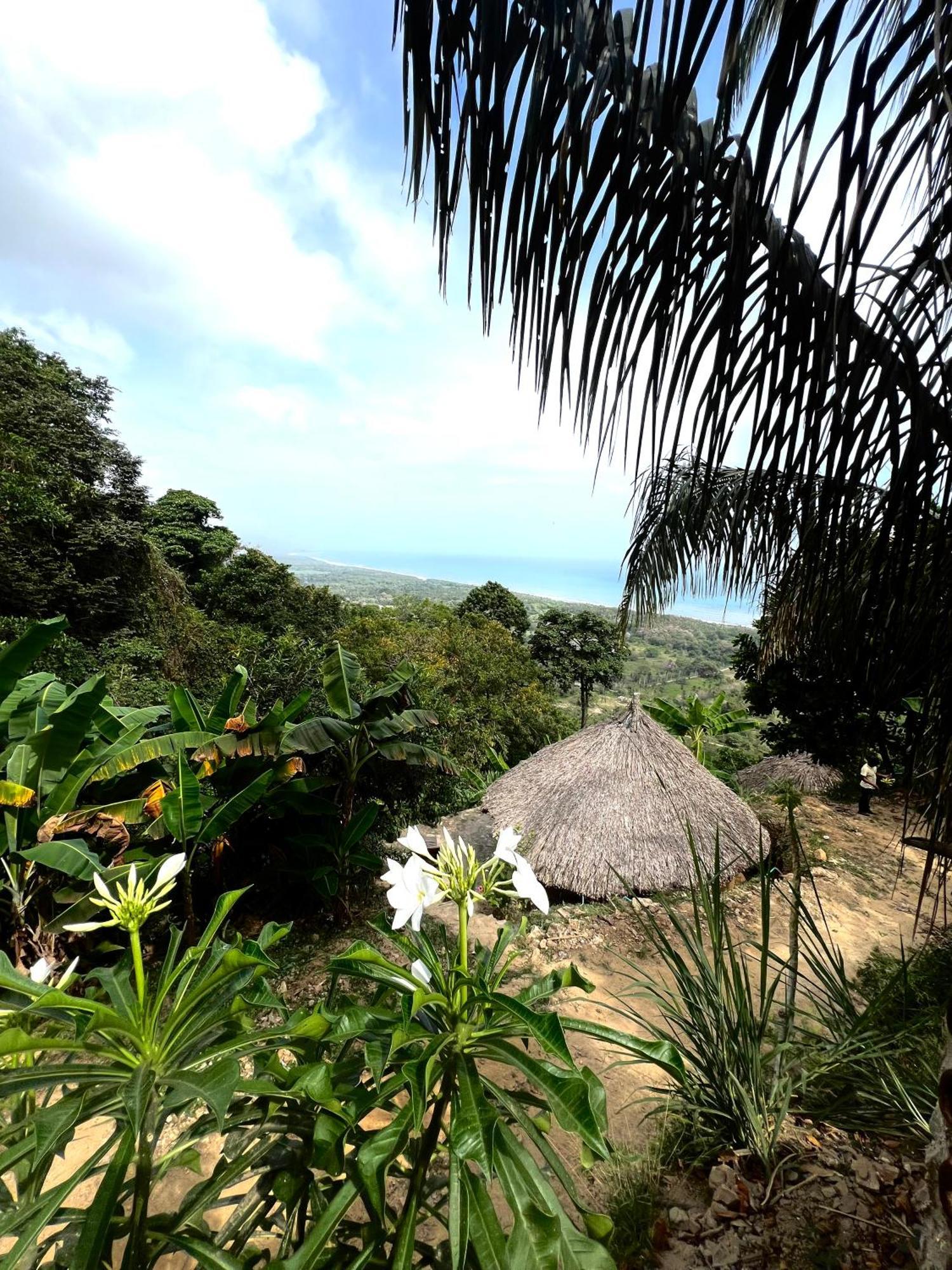 Puerto Alto Hotel Buritaca Kültér fotó